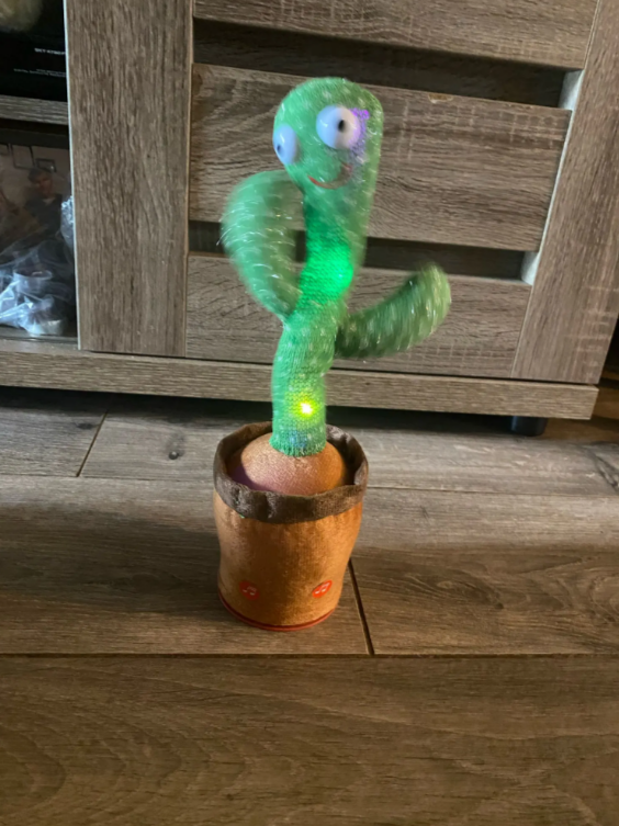 Talking Cactus Toys For Baby Boys And Girls Green photo review