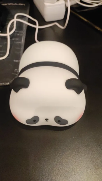 Panda LED Night Light photo review