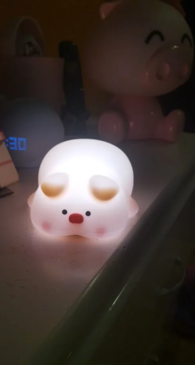 Touch Sensor Silicone LED Lamp - Cute Little Piggy photo review