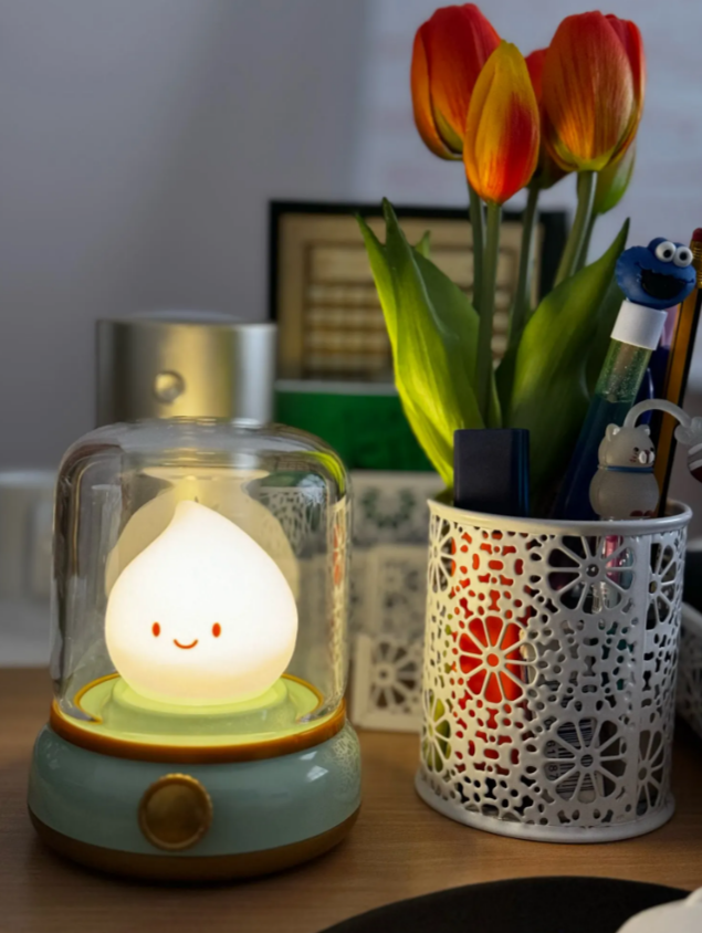 Mini Desktop LED Cute Night Lamp photo review